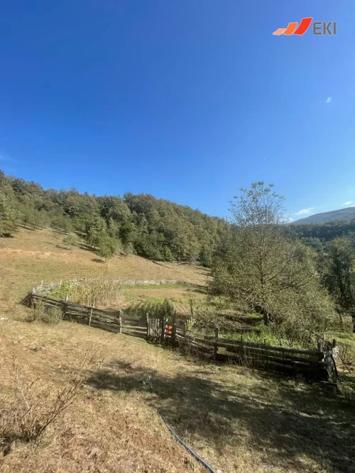 Priče uspješnih EKI klijenata - Dušanka Janjić