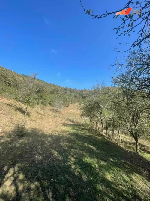 Priče uspješnih EKI klijenata - Dušanka Janjić