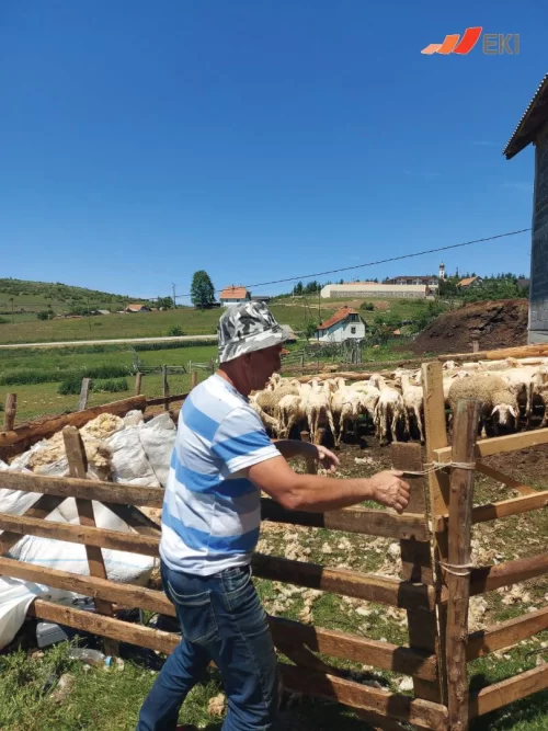 Priče uspješnih EKI klijenata - Bosiljka Savčić