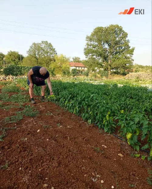 Priče uspješnih EKI klijenata - Ivan Tomić