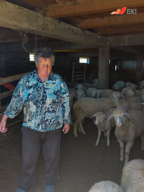 Priče uspješnih EKI klijenata - Bosiljka Savčić