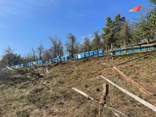 Priče uspješnih EKI klijenata - Dušanka Janjić