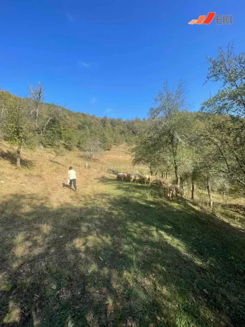 Priče uspješnih EKI klijenata - Dušanka Janjić