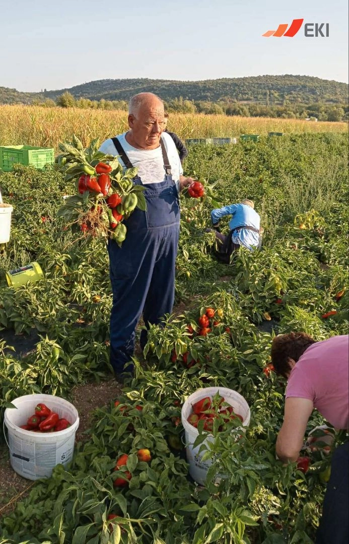 Priče uspješnih EKI klijenata - Ivan Tomić